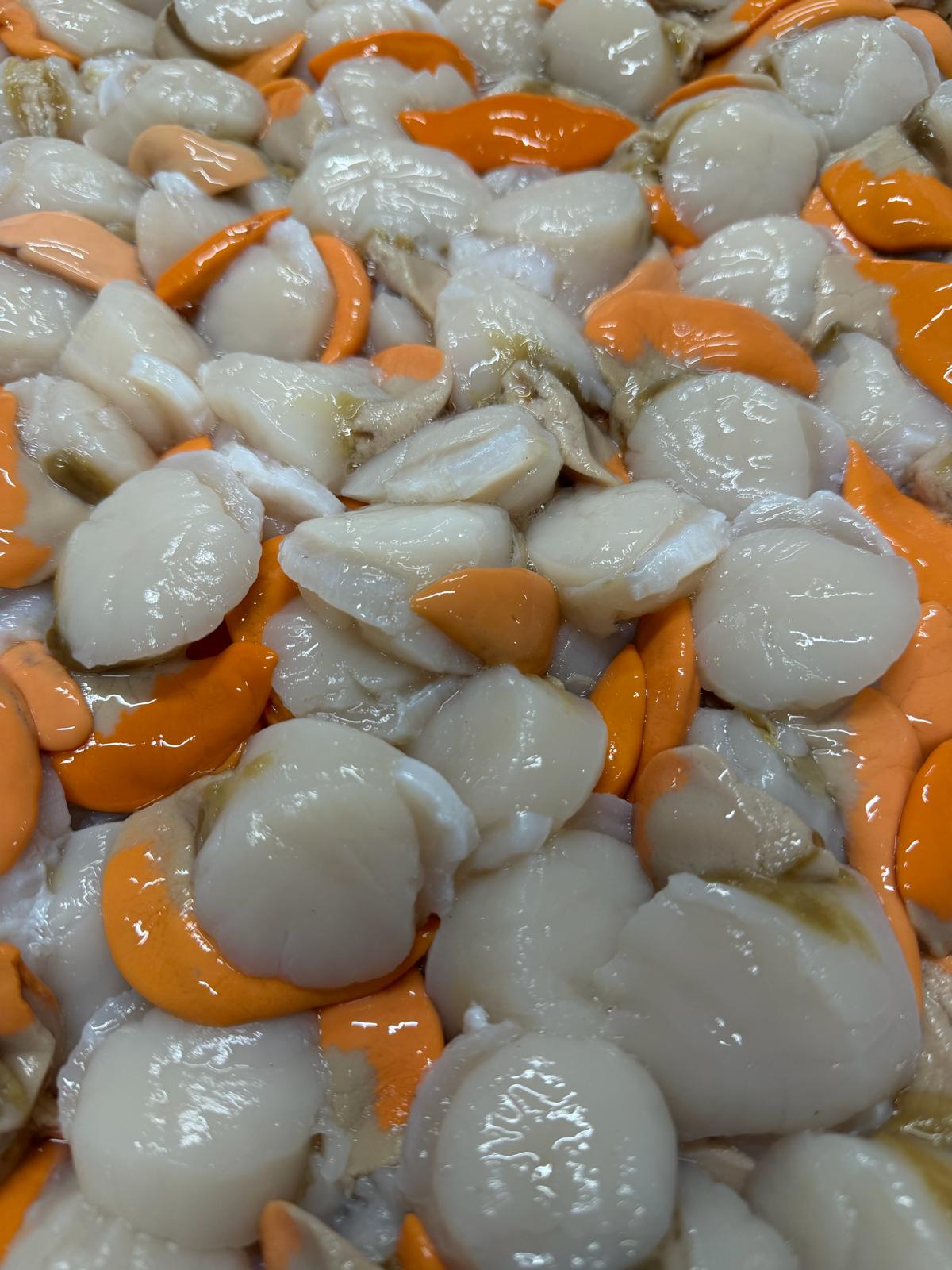 Carne de Vieira