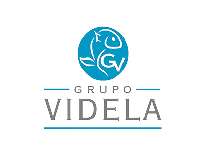 Grupo Videla